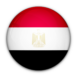 اللغة العربية
